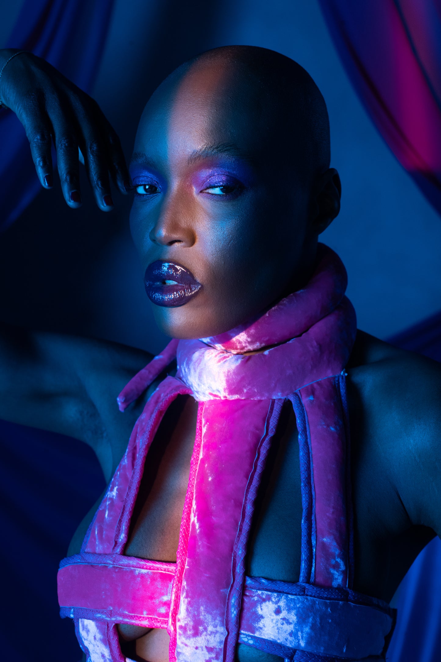 Celest Harness