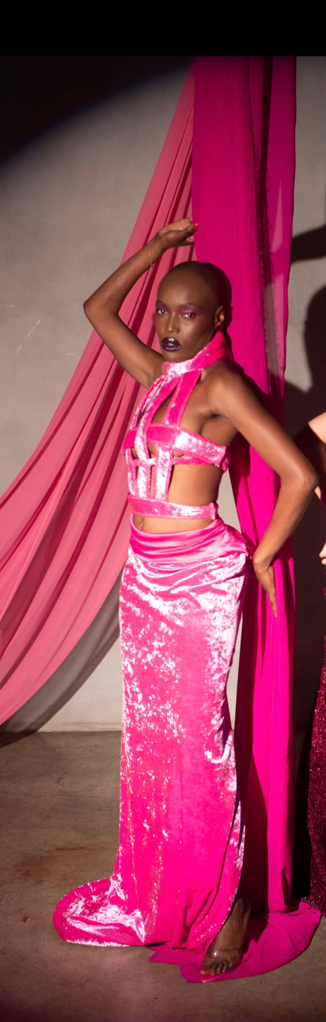 Celest Harness